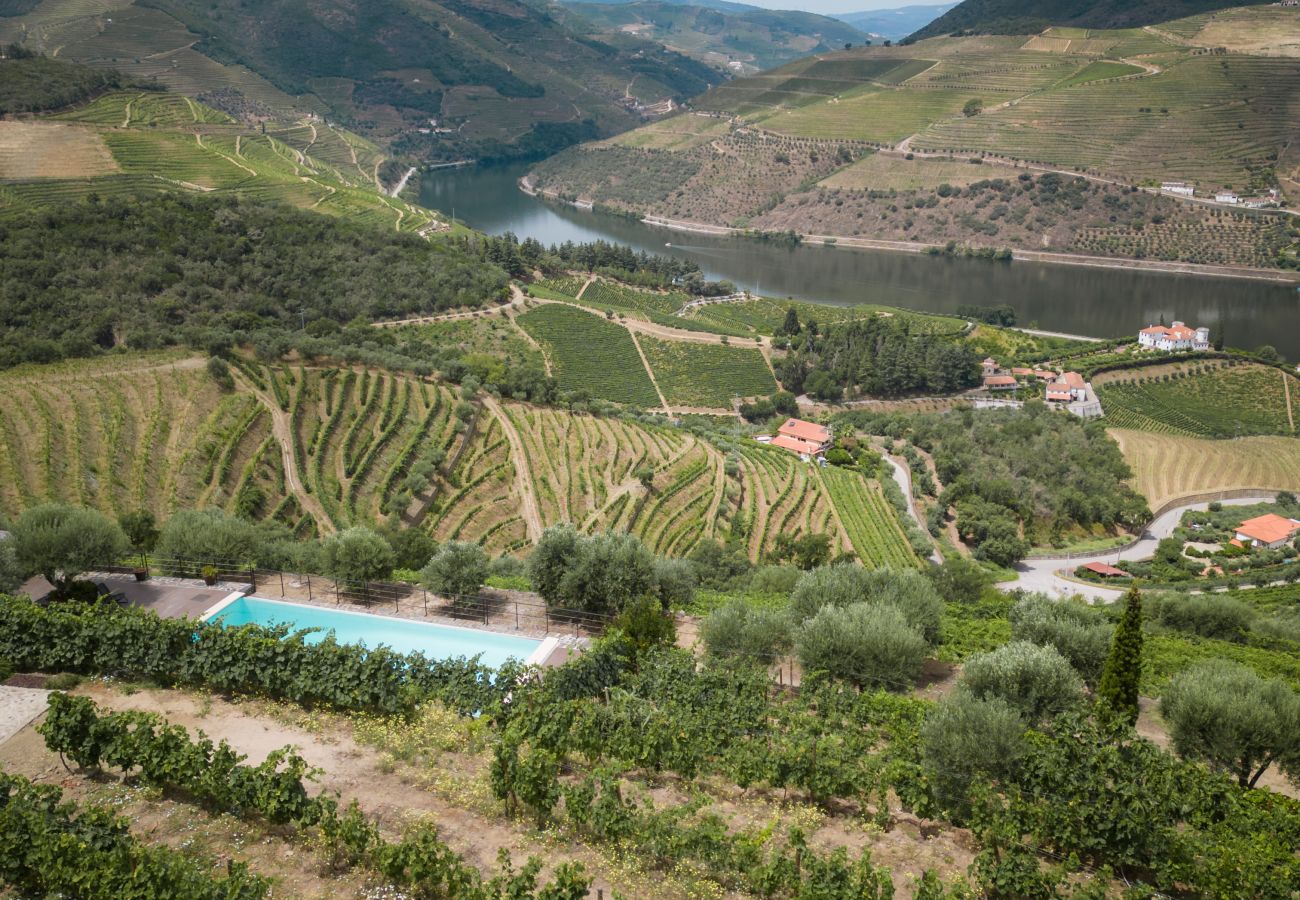 Villa em Folgosa - Feel Discovery Alvim's Douro