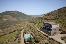 Villa em Folgosa - Feel Discovery Alvim's Douro