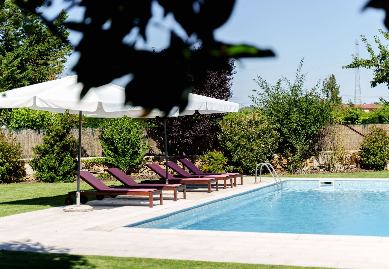 Villa em Armamar -  Feel Discovery Casa da Capela