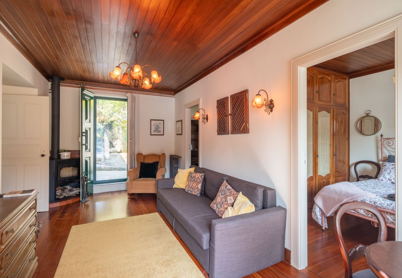 Villa em Ribadouro -  Feel Discovery Casa do Rio Douro Valley