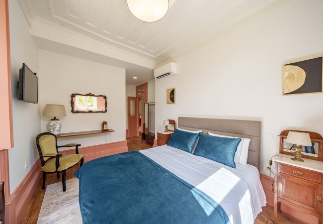 Villa em São Martinho de Mouros - Feel Discovery Villa Aura Douro Valley Villa em São Martinho de Mouros - Feel Discovery Villa Aura Douro Valley