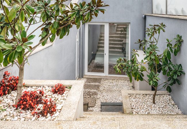 Apartamento em Porto - Feel Porto Lapa Collection Flat 0.1 Apartamento em Porto - Feel Porto Lapa Collection Flat 0.1
