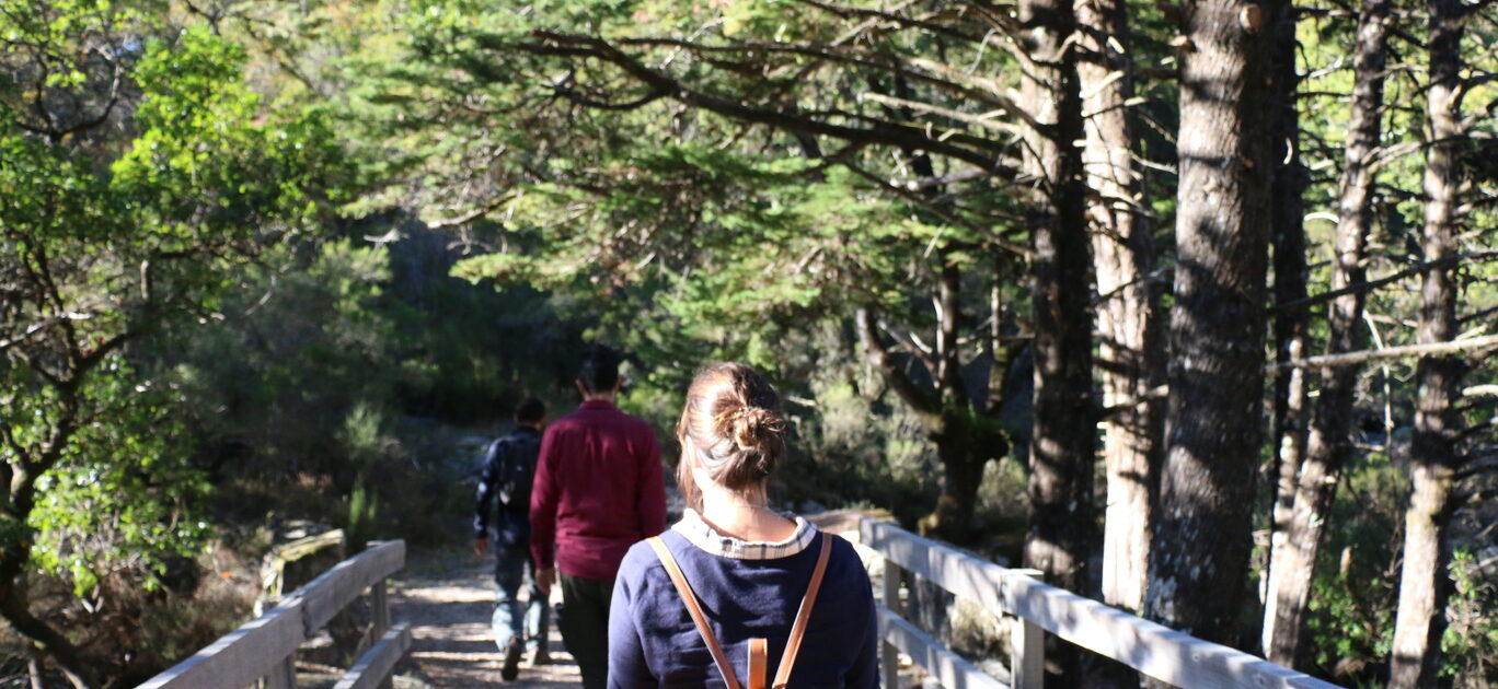 Parque_Nacional_Peneda_Gerês_Tour