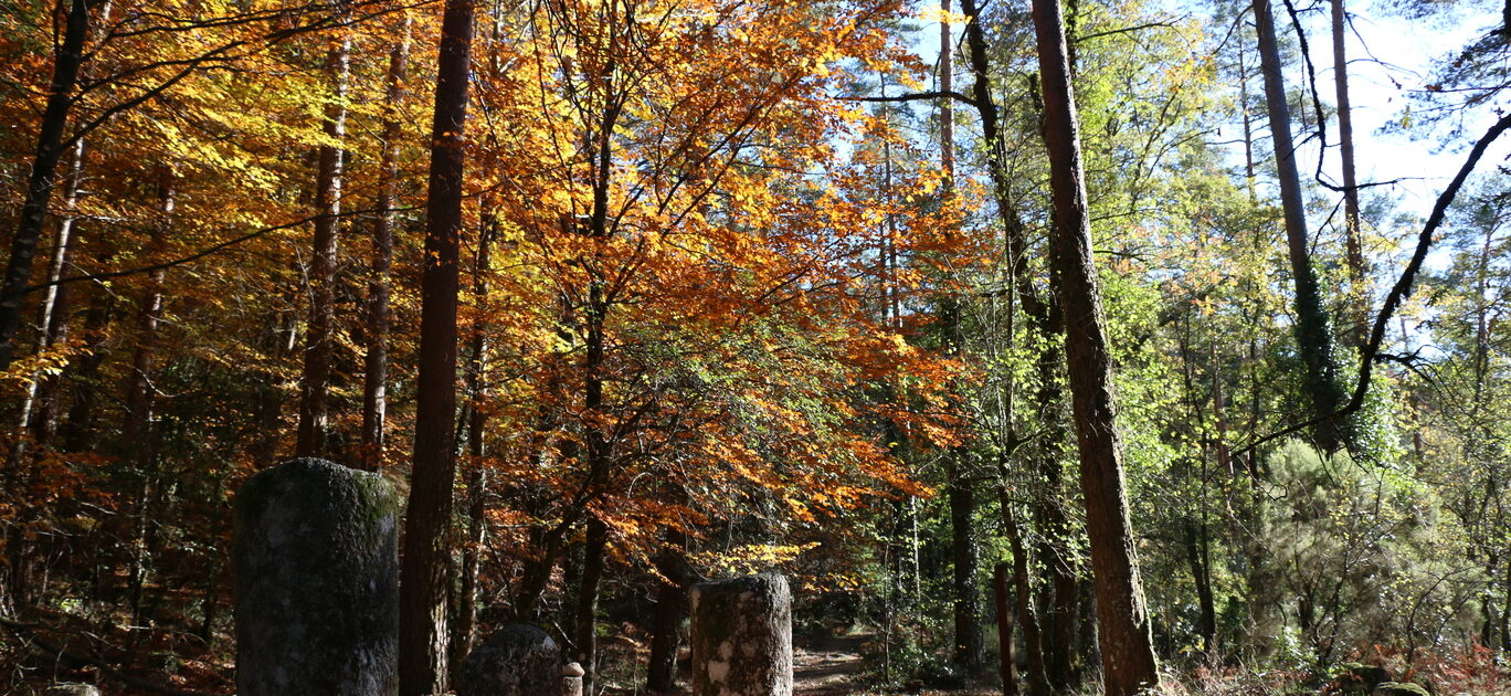 Parque_Nacional_Peneda_Gerês_Tour