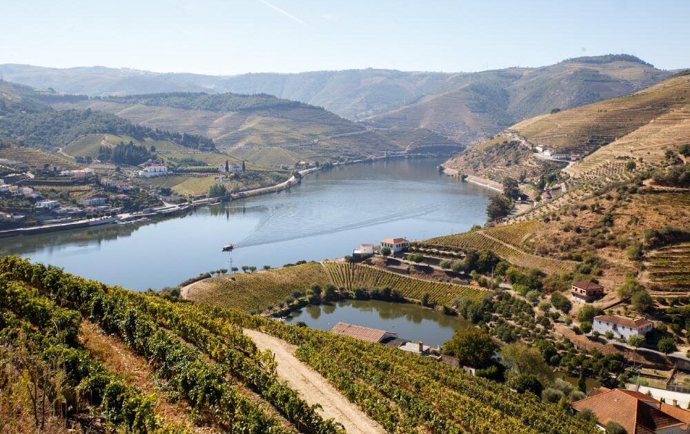 Douro Valley Tour by Van