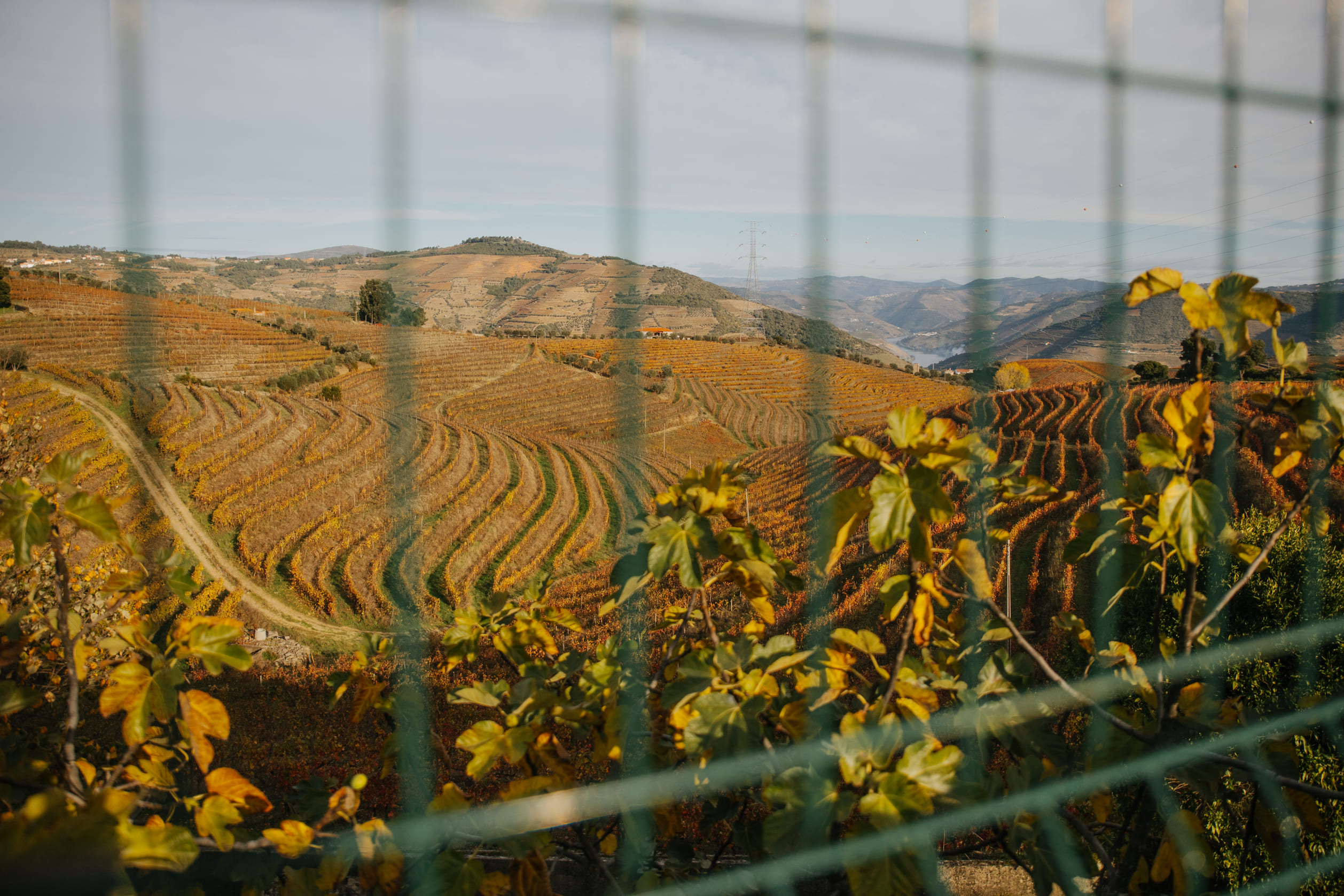 View over the Douro