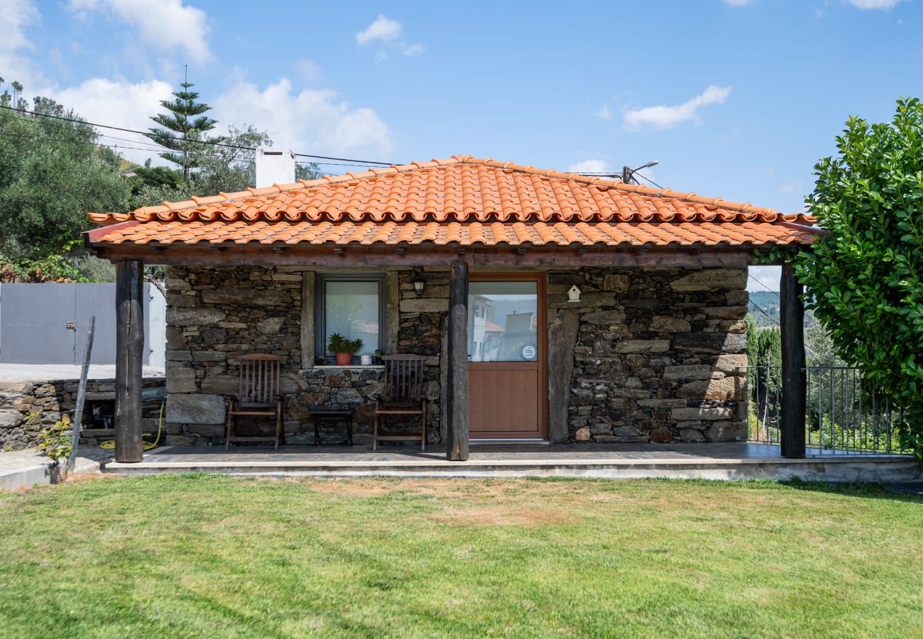 Villa in Peso da Régua - Feel Discovery Douro LAS House