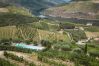 Villa in Folgosa - Feel Discovery Alvim's Douro