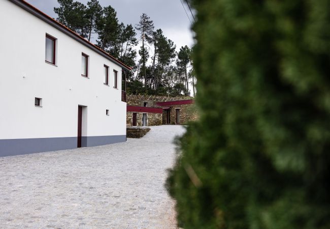 Villa in Peso da Régua - Feel Discovery Casal do Temporão Douro Valley Villa in Peso da Régua - Feel Discovery Casal do Temporão Douro Valley