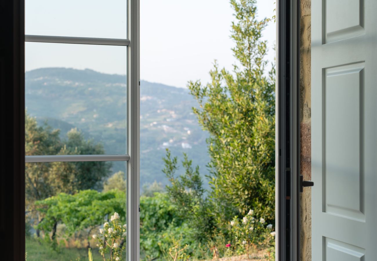 Villa in Resende - Feel Discovery Casa da Granja Douro Valley