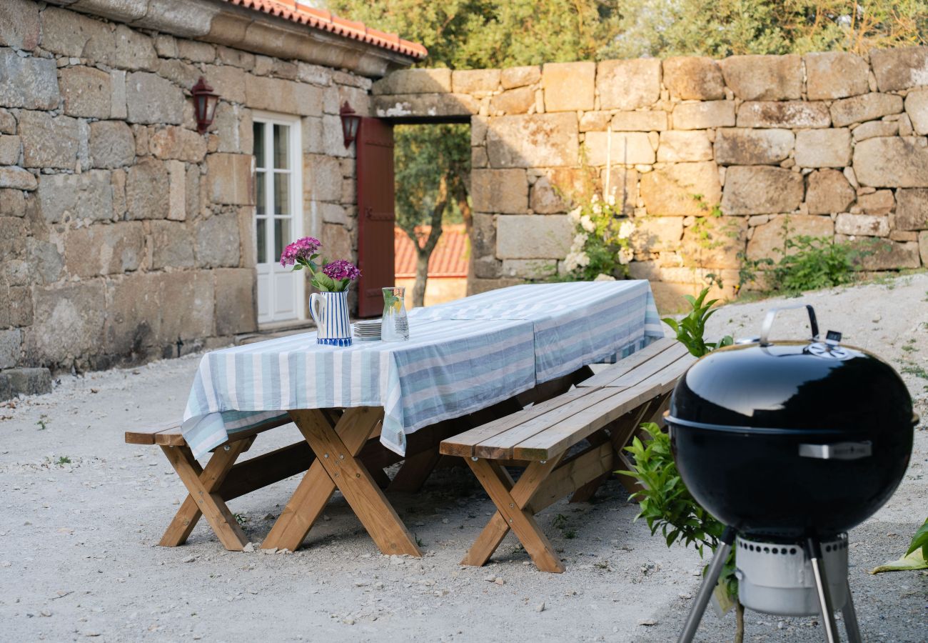 Villa in Resende - Feel Discovery Casa da Granja Douro Valley