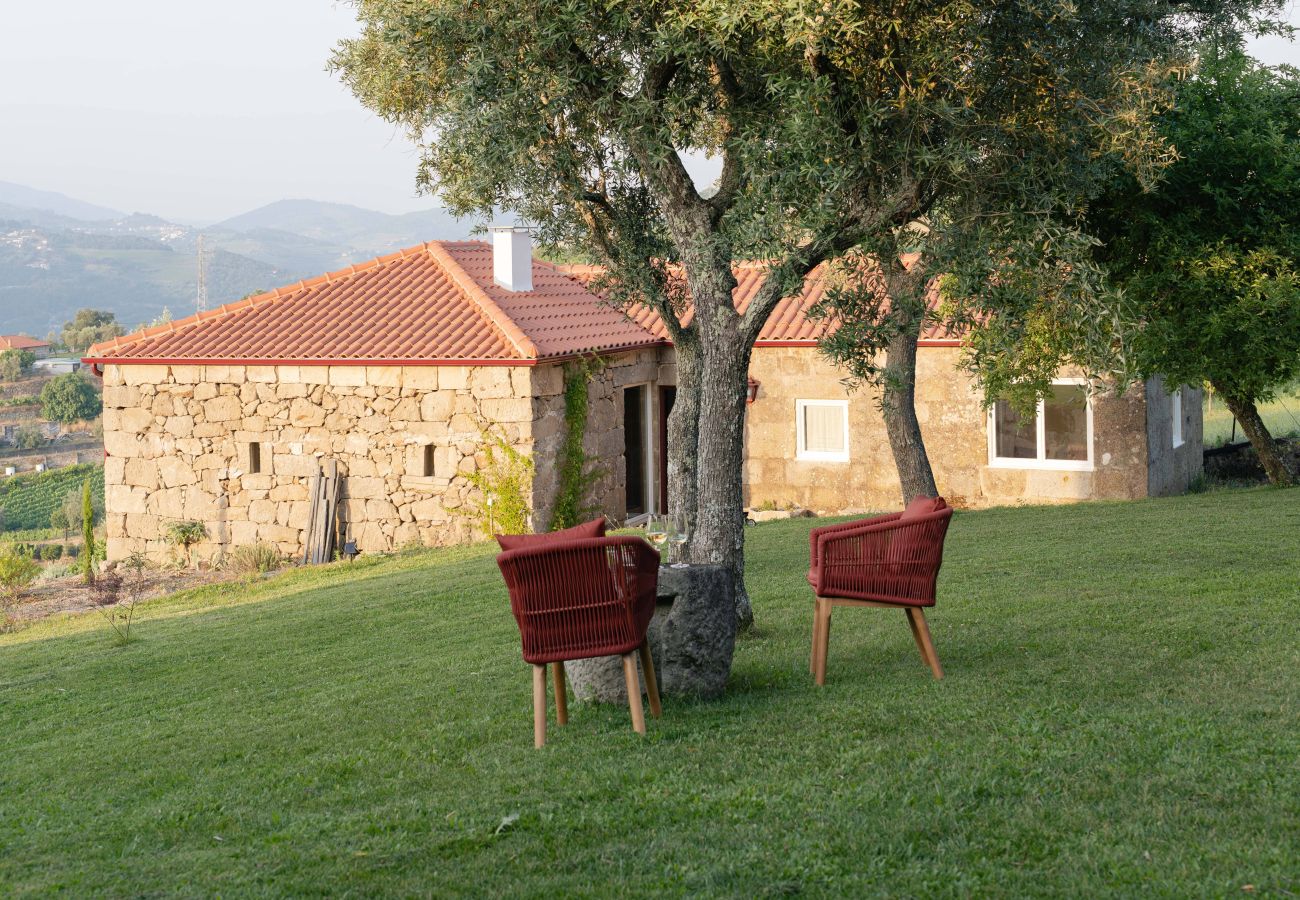 Villa in Resende - Feel Discovery Casa da Granja Douro Valley