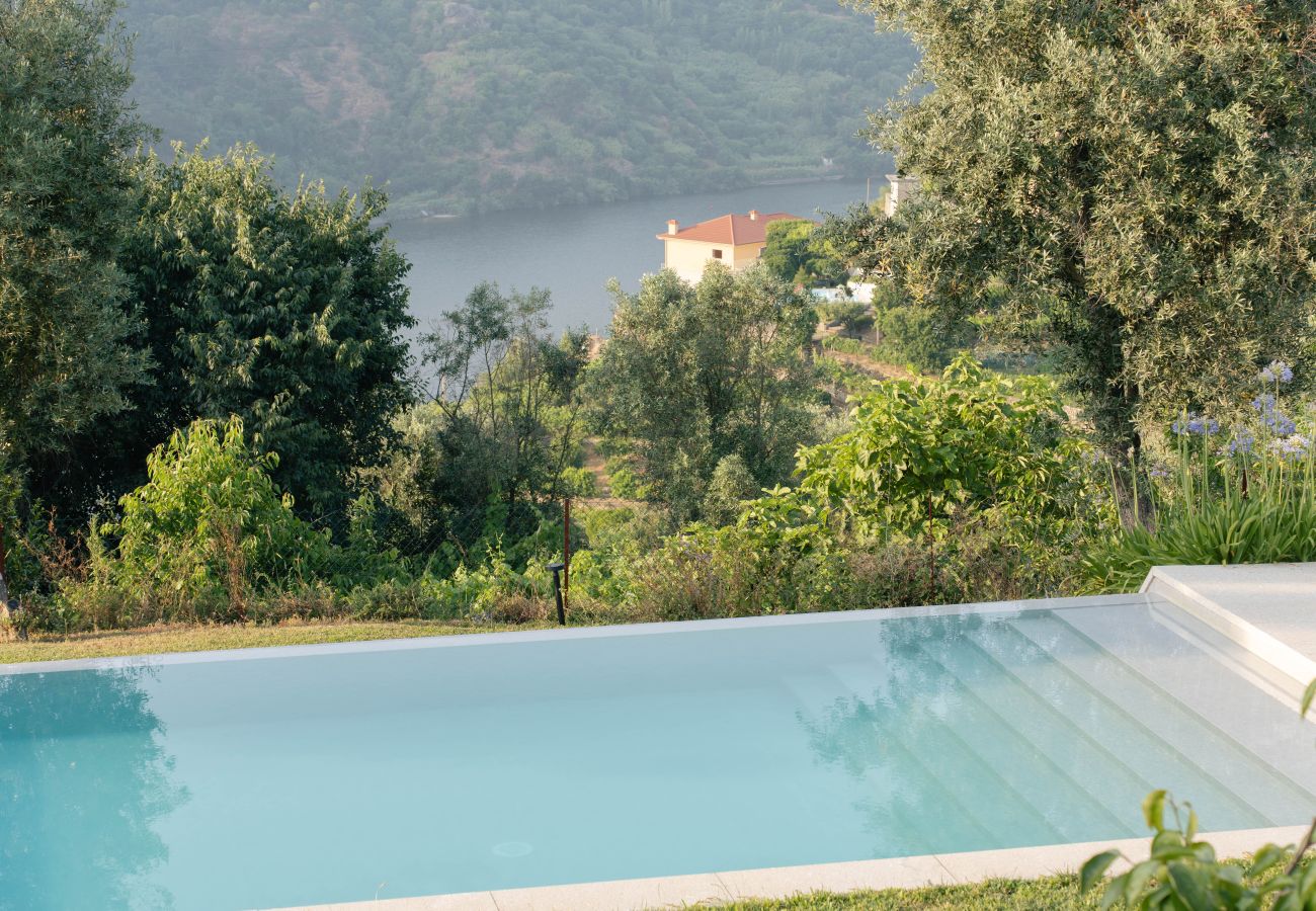 Villa in Resende - Feel Discovery Casa da Granja Douro Valley