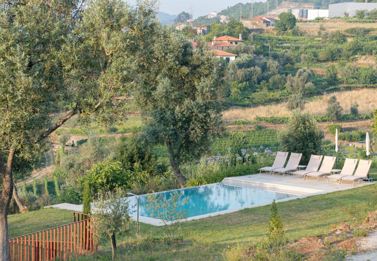 Villa in Resende - Feel Discovery Casa da Granja Douro Valley