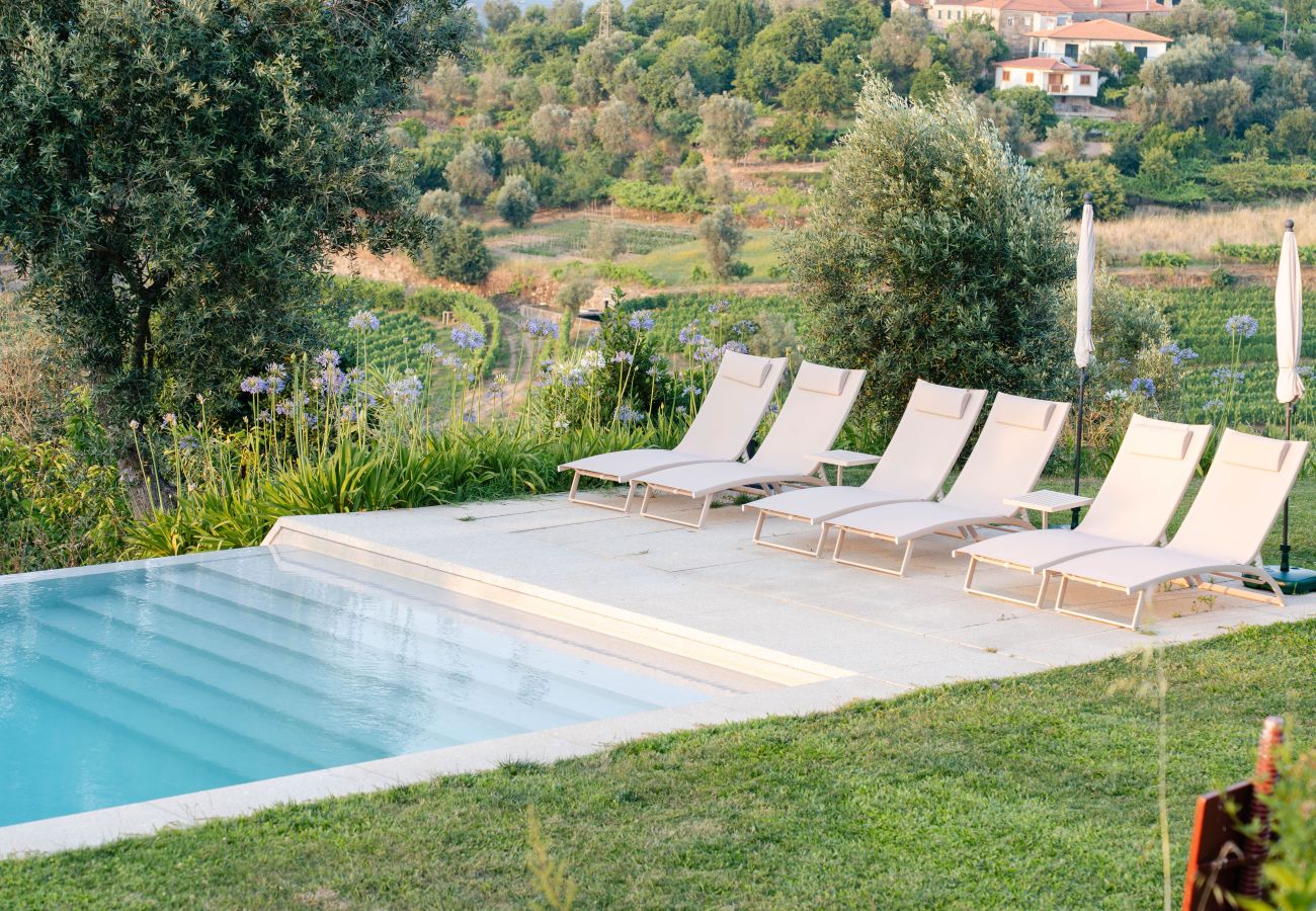 Villa in Resende - Feel Discovery Casa da Granja Douro Valley