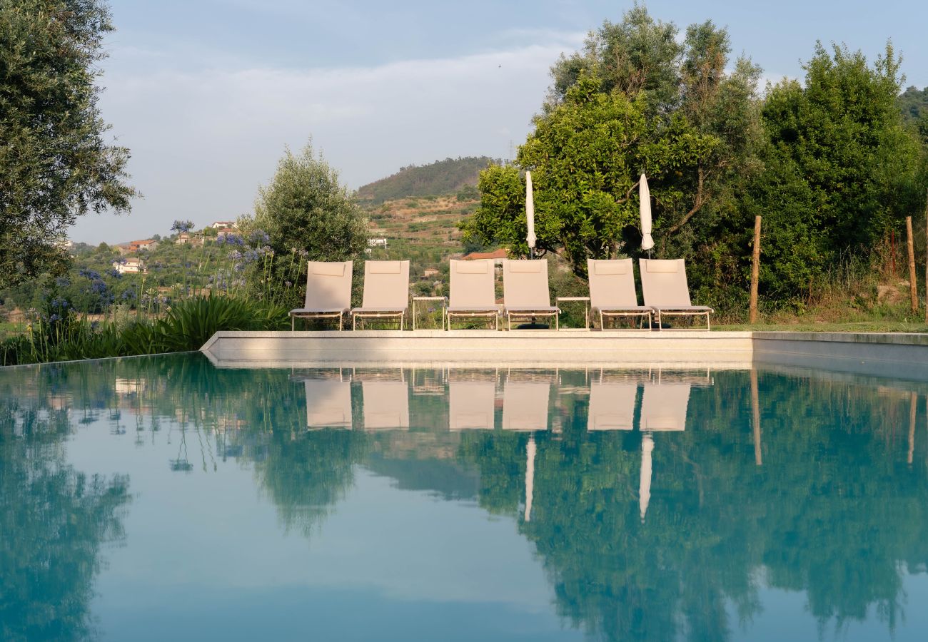 Villa in Resende - Feel Discovery Casa da Granja Douro Valley