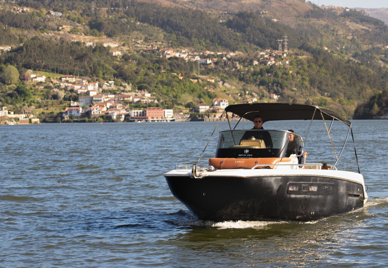 Villa in Resende - Feel Discovery Casa do Mirão River Douro Valley