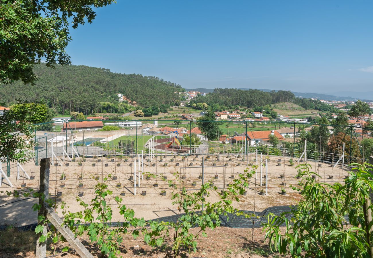 Villa in Arouca - Feel Discovery Casa do Pinheiro