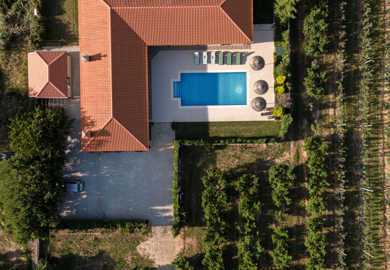 Villa in Armamar - Feel Discovery Maçã Douro