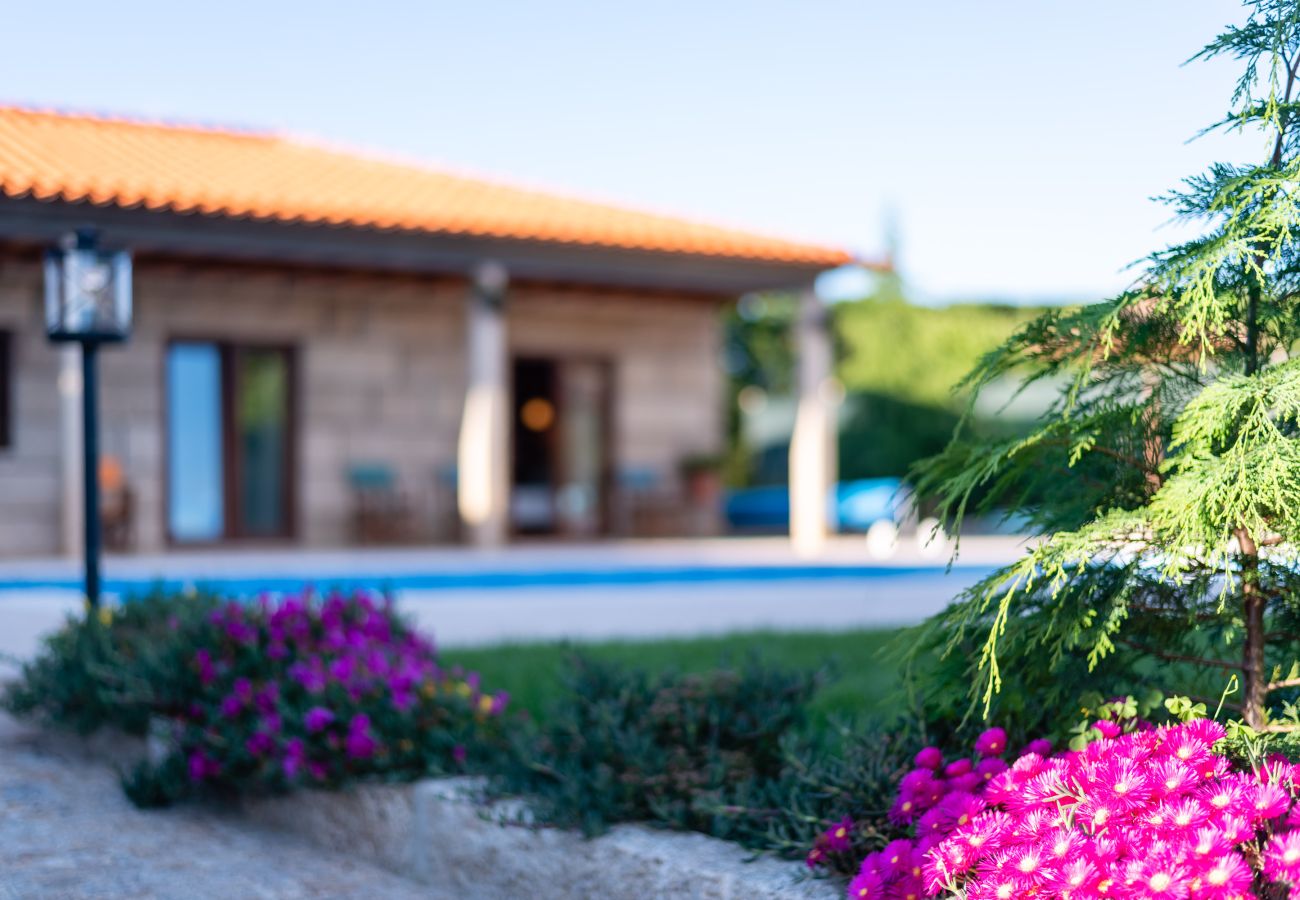 Villa in Armamar - Feel Discovery Maçã Douro