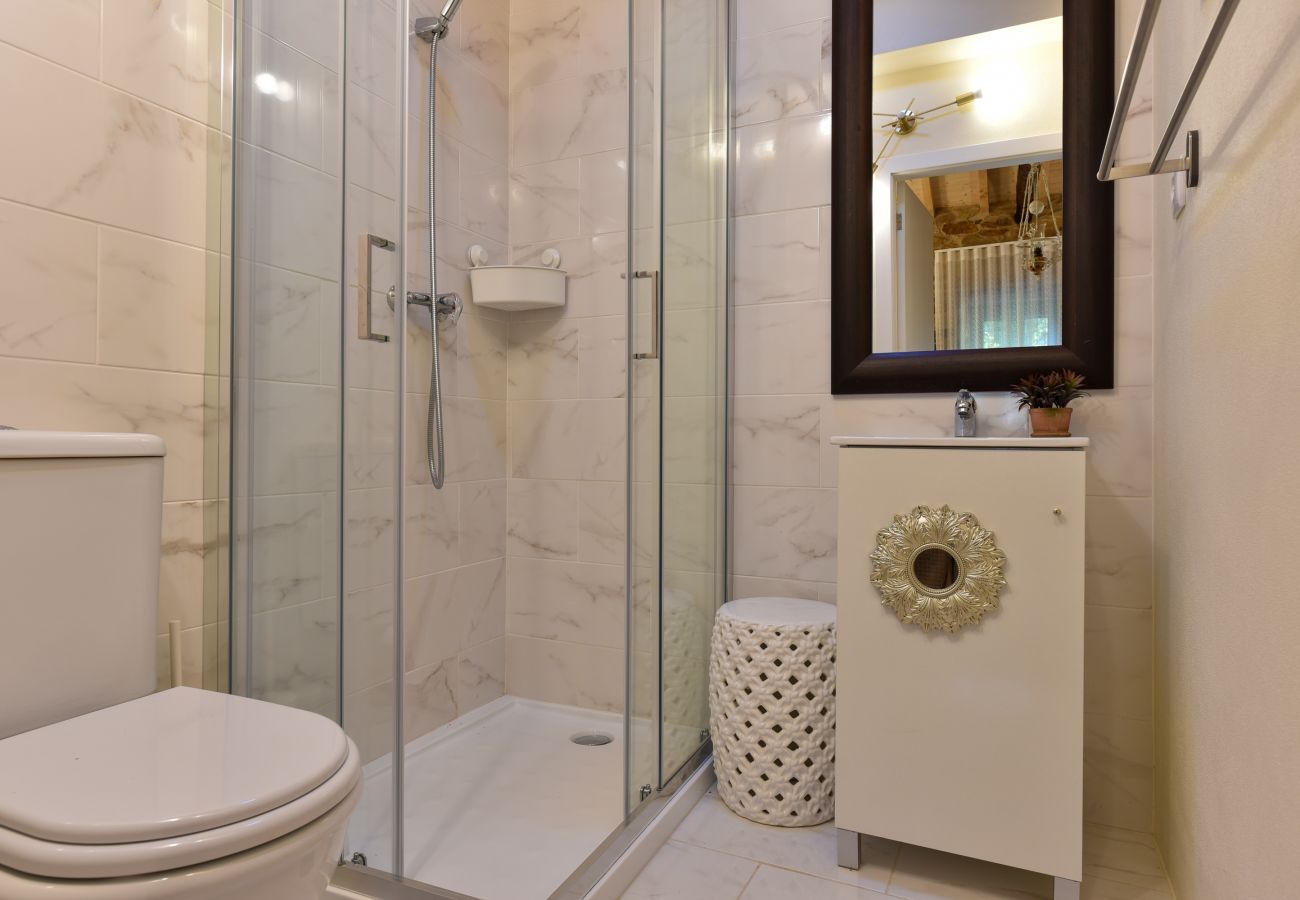 Villa in Arouca - Feel Discovery Passadiços Paiva - Casa da Cavada