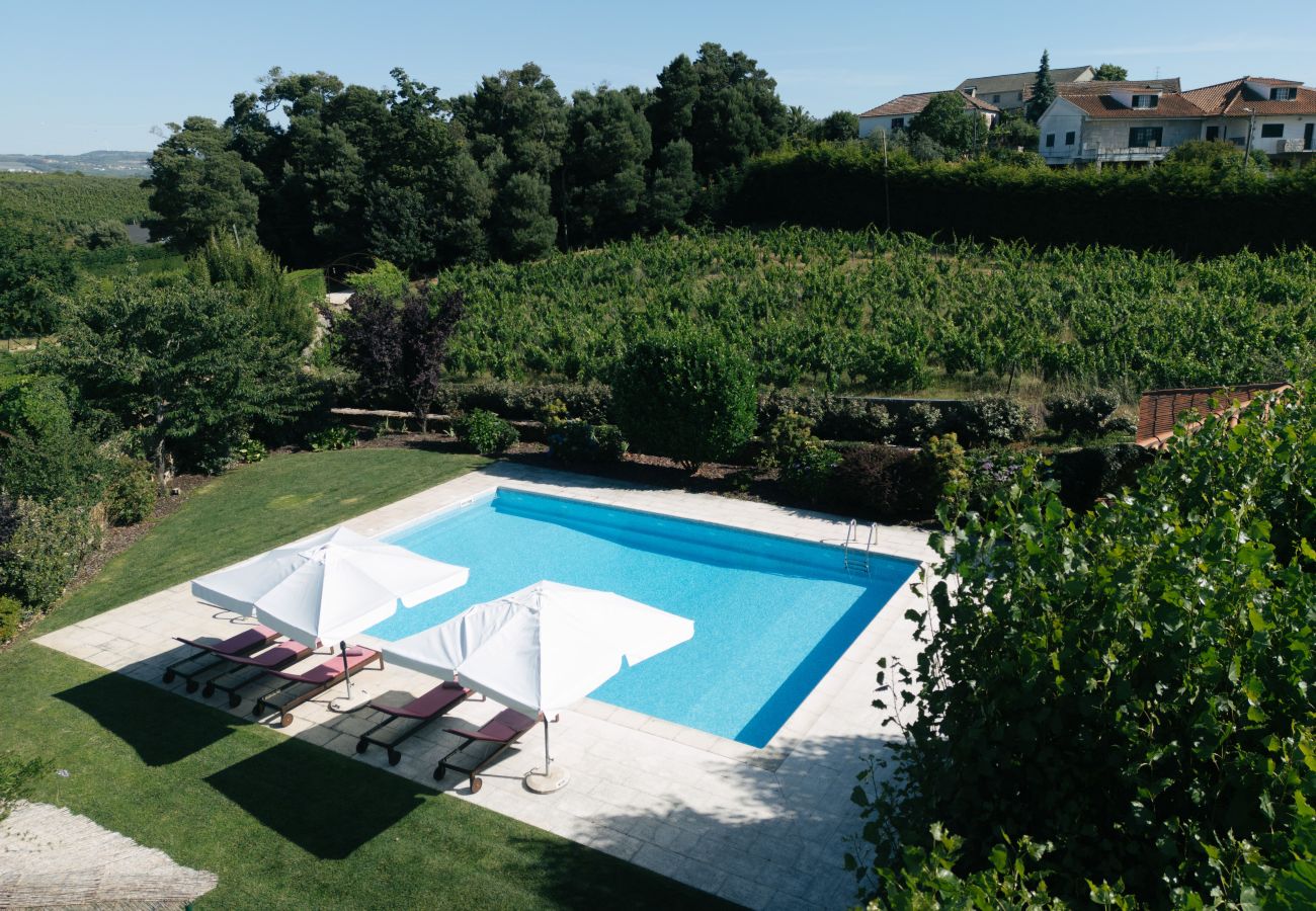 Villa in Armamar -  Feel Discovery Casa da Capela
