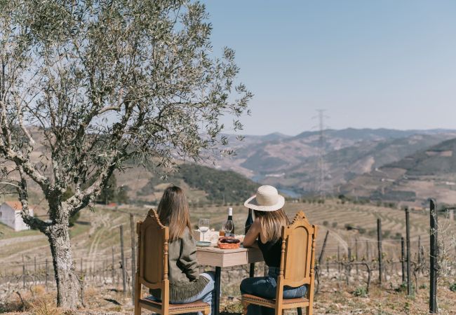 Villa in Peso da Régua - Feel Discovery Quinta do Muro Douro Valley Villa in Peso da Régua - Feel Discovery Quinta do Muro Douro Valley