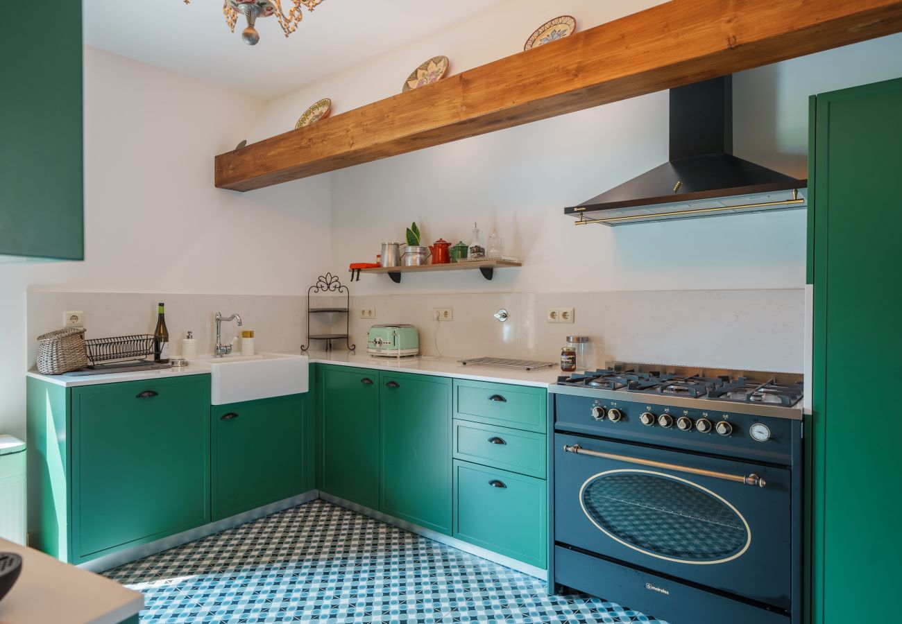 Villa in Ribadouro -  Feel Discovery Casa do Rio Douro Valley