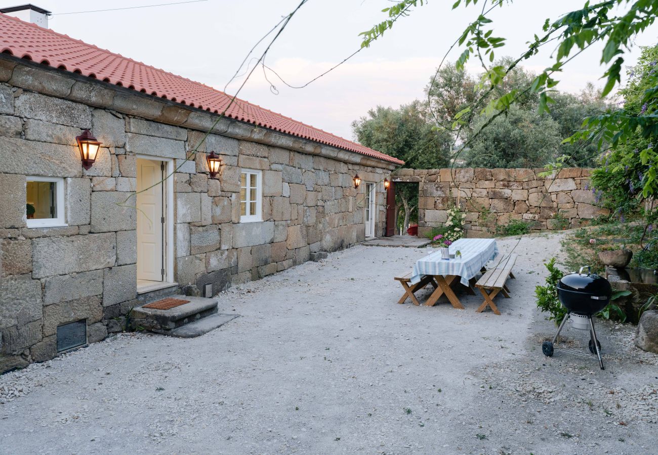 Villa in Resende - Feel Discovery Casa da Granja Douro Valley