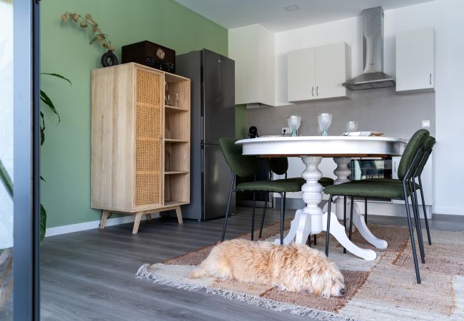 Apartment in Peso da Régua - Feel Discovery Casa d'Alice Apartment in Peso da Régua - Feel Discovery Casa d'Alice