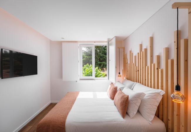 Apartment in Peso da Régua -  Feel Discovery Casa da Lameira Douro Valley III Apartment in Peso da Régua -  Feel Discovery Casa da Lameira Douro Valley III