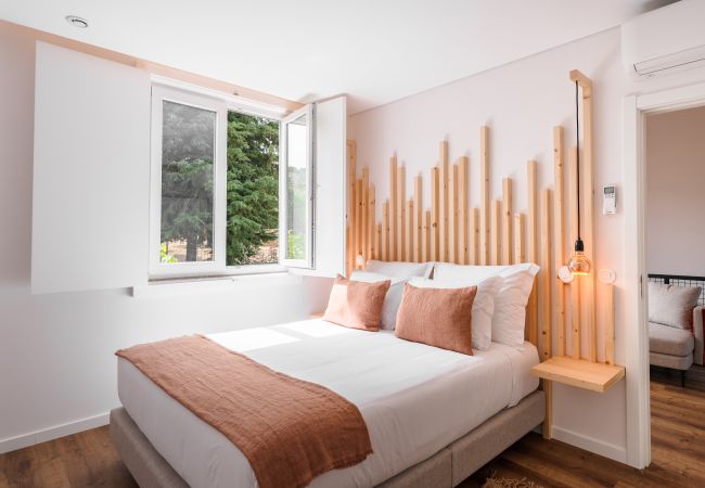 Apartment in Peso da Régua -  Feel Discovery Casa da Lameira Douro Valley III Apartment in Peso da Régua -  Feel Discovery Casa da Lameira Douro Valley III