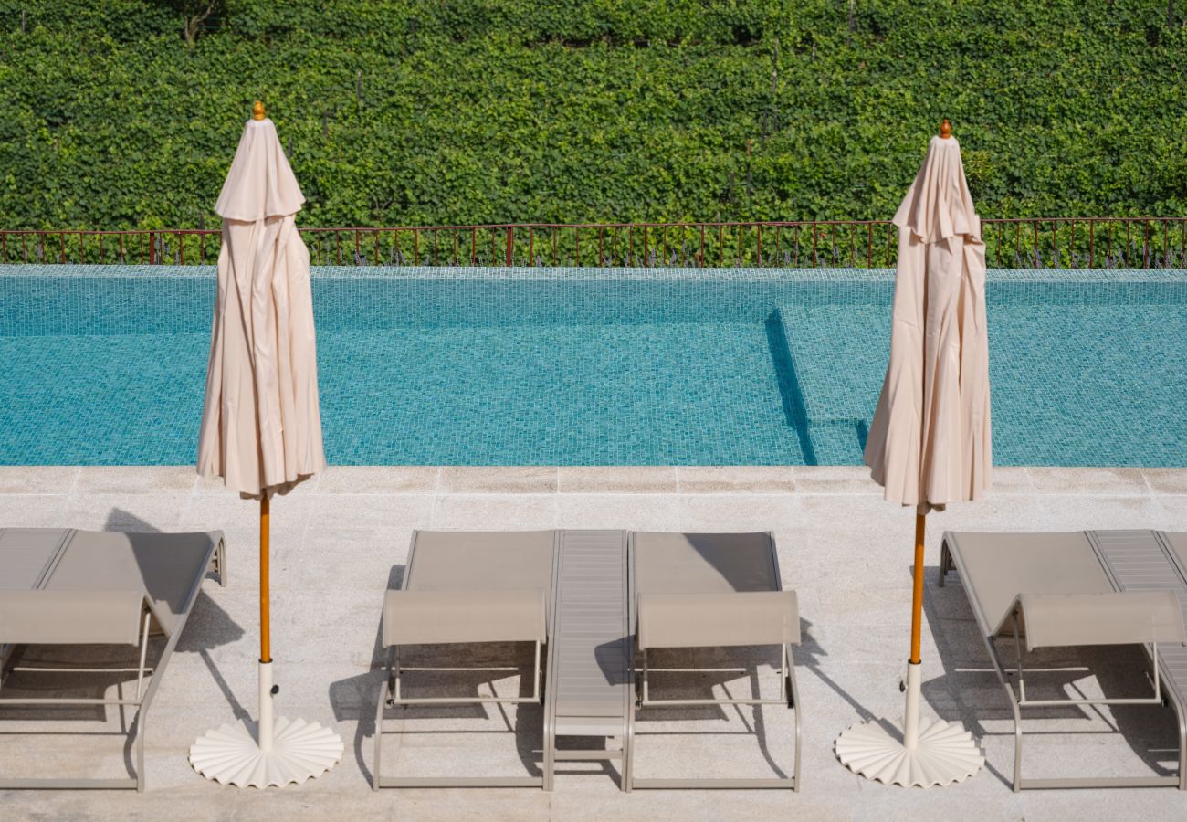 Apartment in Peso da Régua - Casa da Lameira - Rosalinda