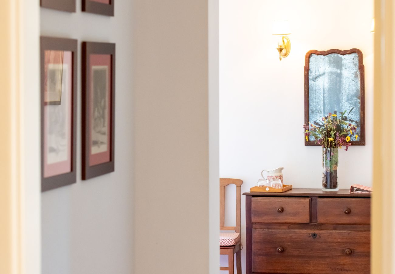 Villa in Sabrosa - Casa de Vilarinho