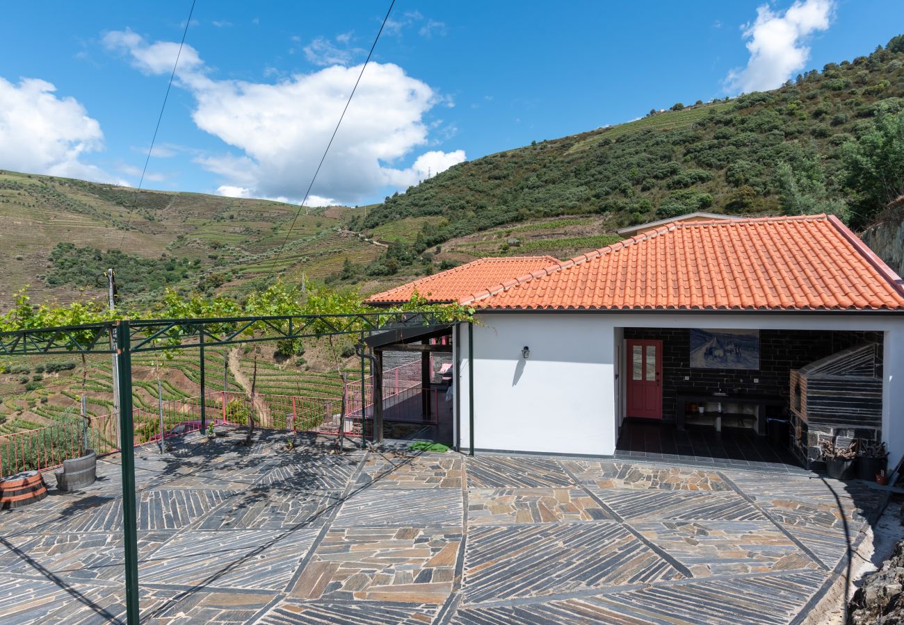 Villa in Desejosa - Feel Discovery Casa Fonte do Lagar