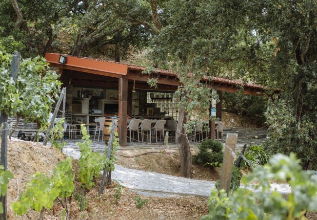 Villa en Folgosa - Feel Discovery Alvim's Douro Villa en Folgosa - Feel Discovery Alvim's Douro