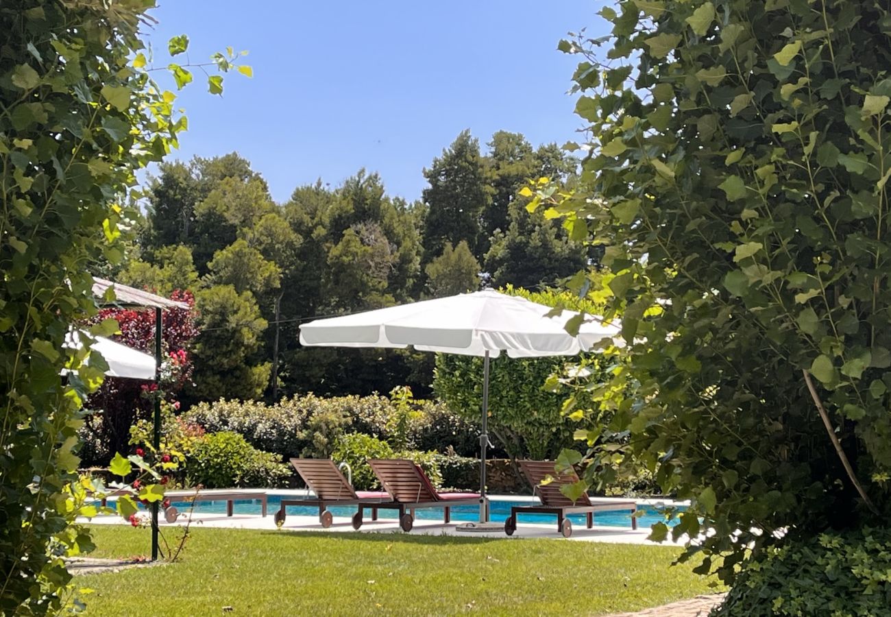 Villa en Armamar -  Feel Discovery Casa da Capela