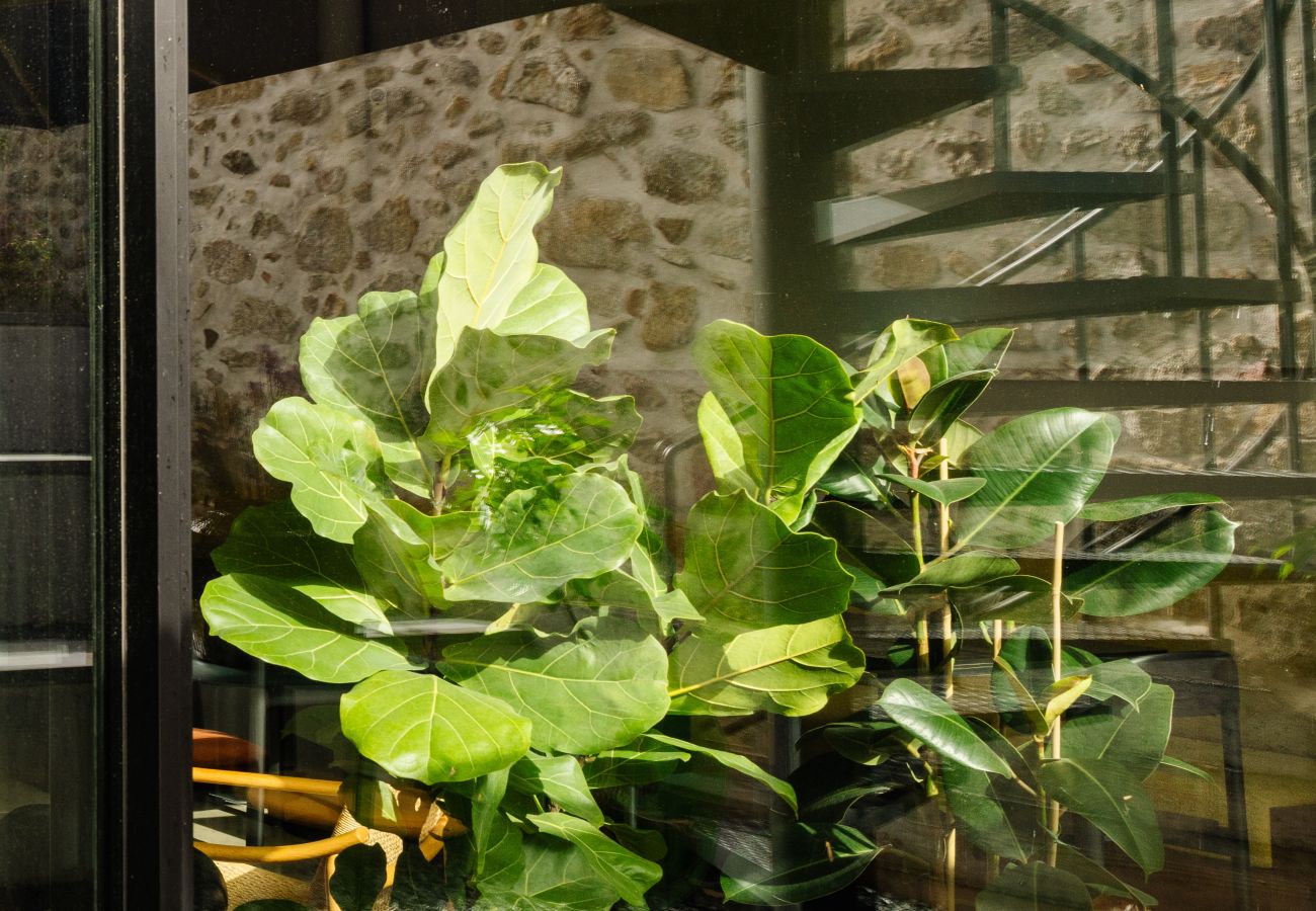 Apartamento en Oporto - Porto Arts Club Apartment I by Feel Discovery 