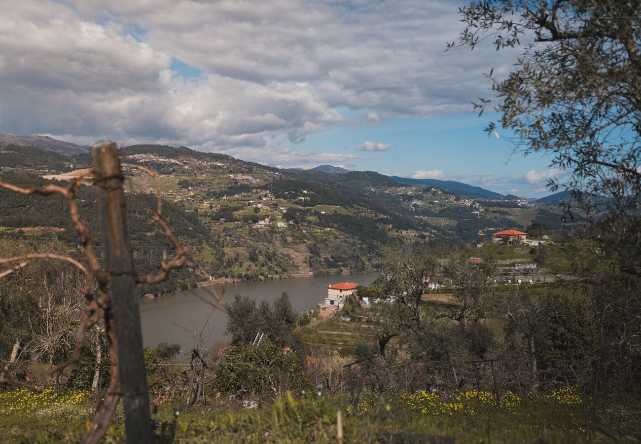 Villa à Resende - Feel Discovery Casa da Granja Douro Valley